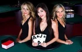55pk8888 Sportsbook